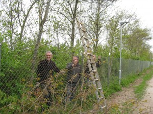 IMG_8392